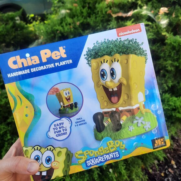 Nickelodeon SpongeBob SquarePants Chia Pet Decorative Planter New Open Box - Picture 1 of 4